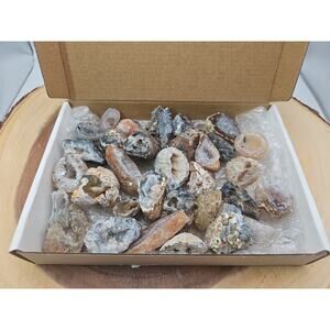 Oco Geode 1 Lb Lot Natural Polished Agate Crystals Druzy Geode Halves